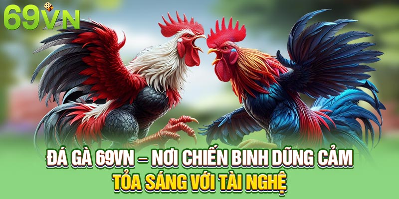 Đá Gà 69VN – Nơi Chiến Binh Dũng Cảm Tỏa Sáng Với Tài Nghệ