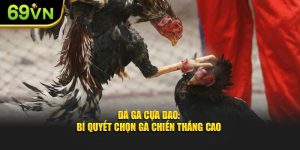 Đá Gà Cựa Dao: Bí Quyết Chọn Gà Chiến Thắng Cao