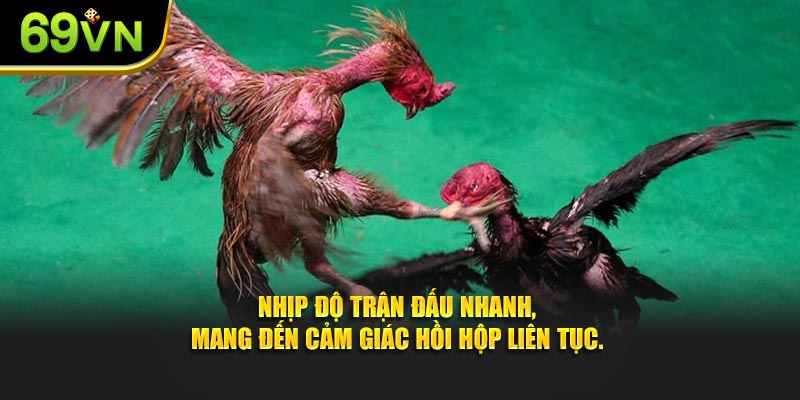 Nhịp độ trận đấu nhanh, mang đến cảm giác hồi hộp liên tục.