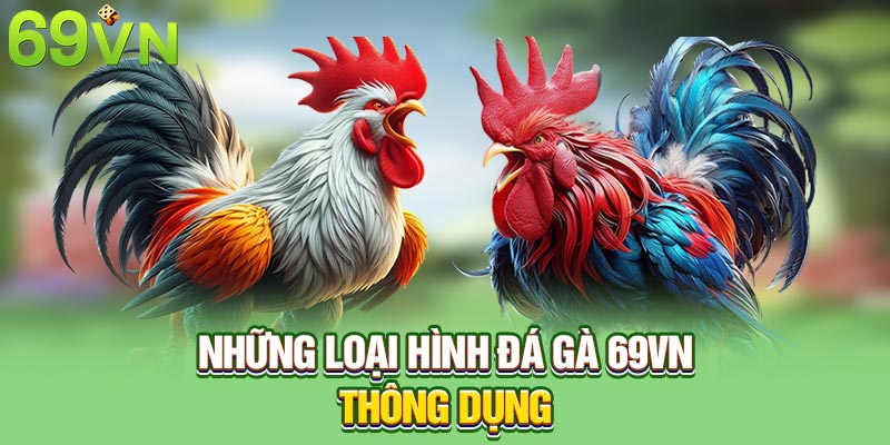 Những loại hình đá gà 69VN thông dụng