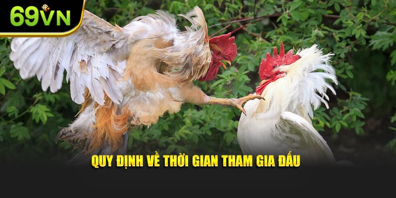 Quy định về thời gian tham gia đấu