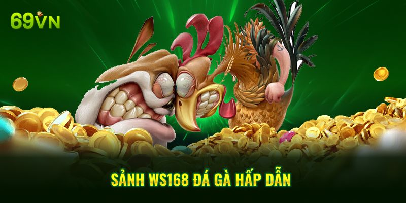 Sảnh Ws168 Đá Gà hấp dẫn