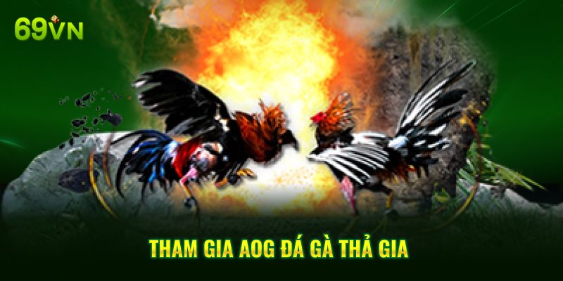 Tham gia AOG Đá Gà thả gia