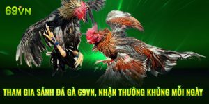 Tham Gia Sảnh Đá Gà 69VN, Nhận Thưởng Khủng Mỗi Ngày