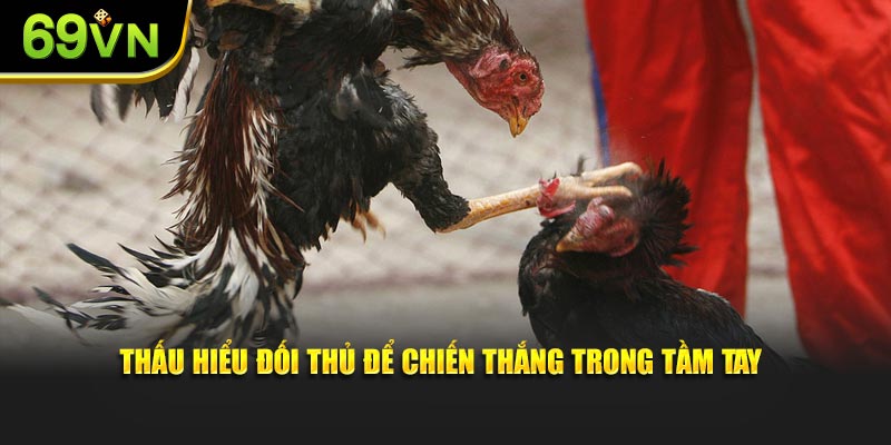 Thấu hiểu đối thủ để chiến thắng trong tầm tay