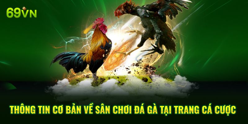 Thông tin cơ bản về sân chơi đá gà tại trang cá cược