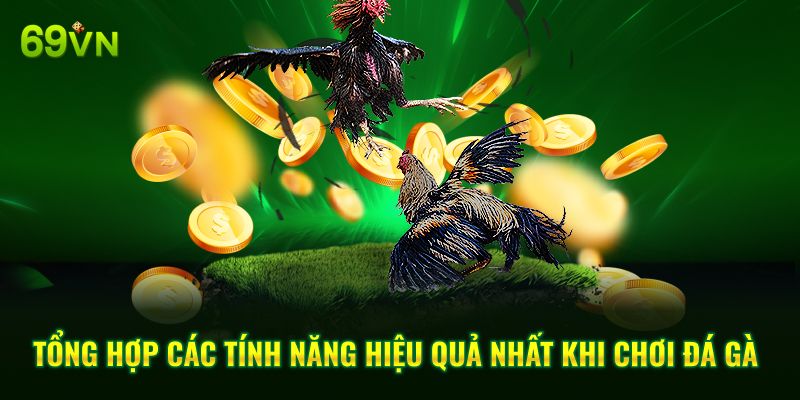 Tổng hợp các tính năng hiệu quả nhất khi chơi đá gà