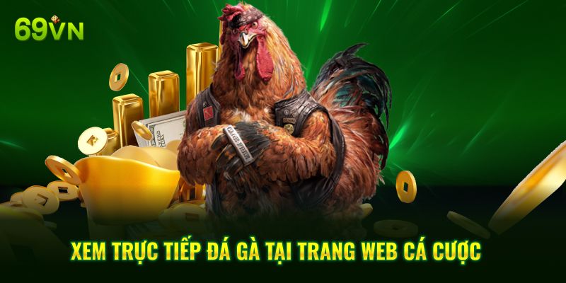 Xem trực tiếp đá gà tại trang web cá cược
